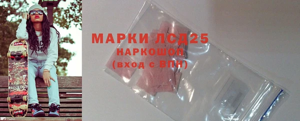 меф Ельня