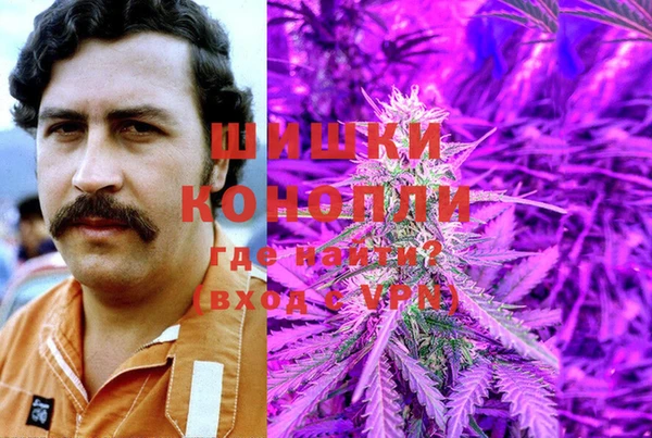 меф Ельня