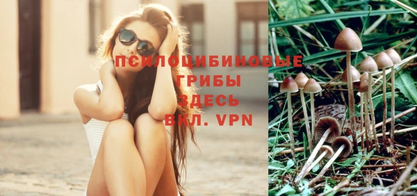винт Елабуга