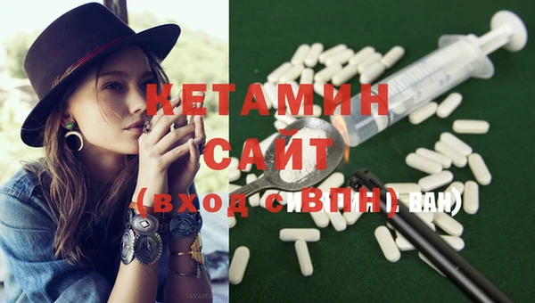 меф Ельня