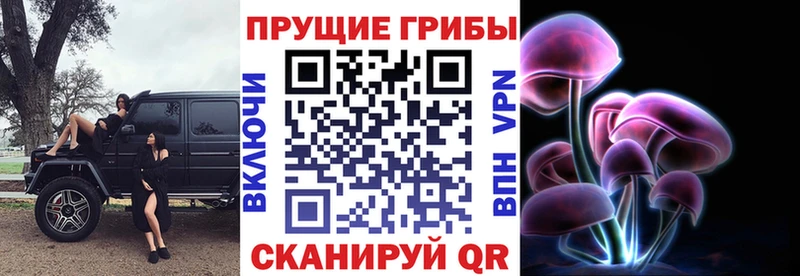 Псилоцибиновые грибы MAGIC MUSHROOMS  наркошоп  Яровое 